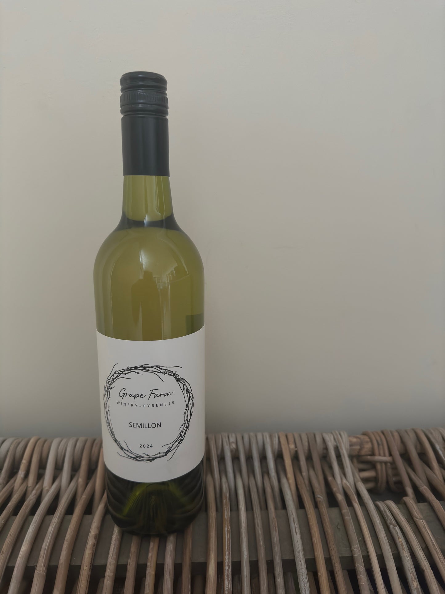 Semillon 2024